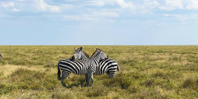 Tanzania Adventure Tours