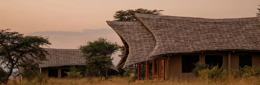 safe travel Tanzania safari