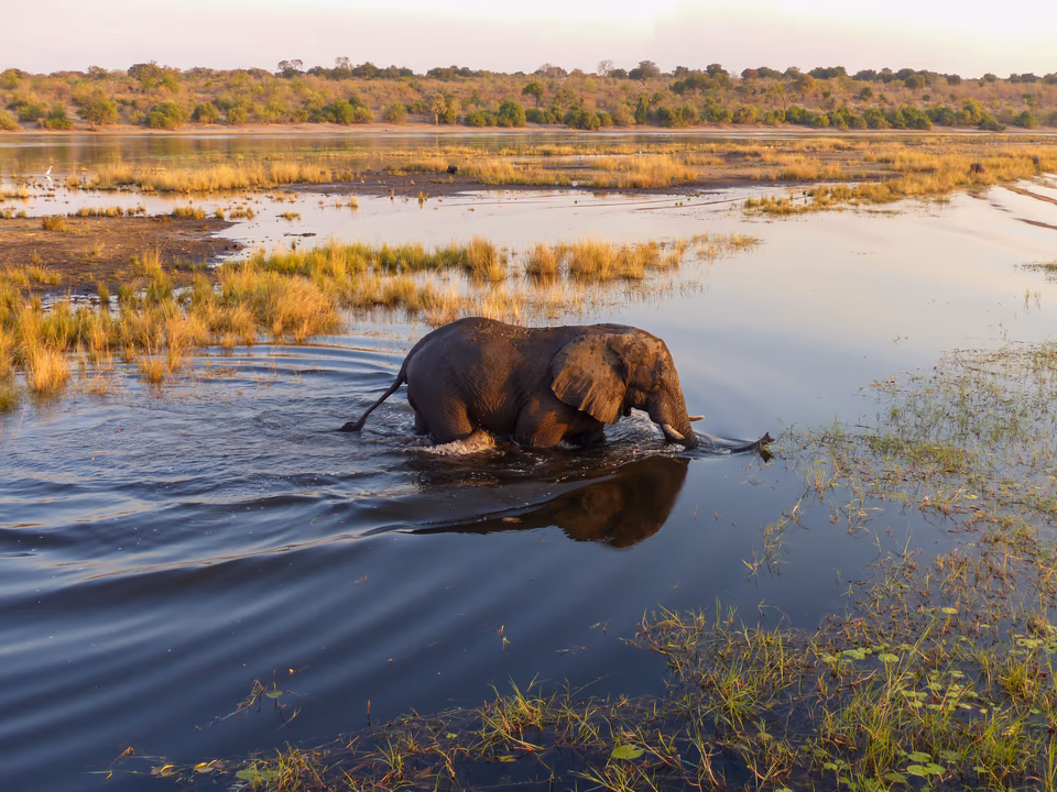 Botswana safari landscape