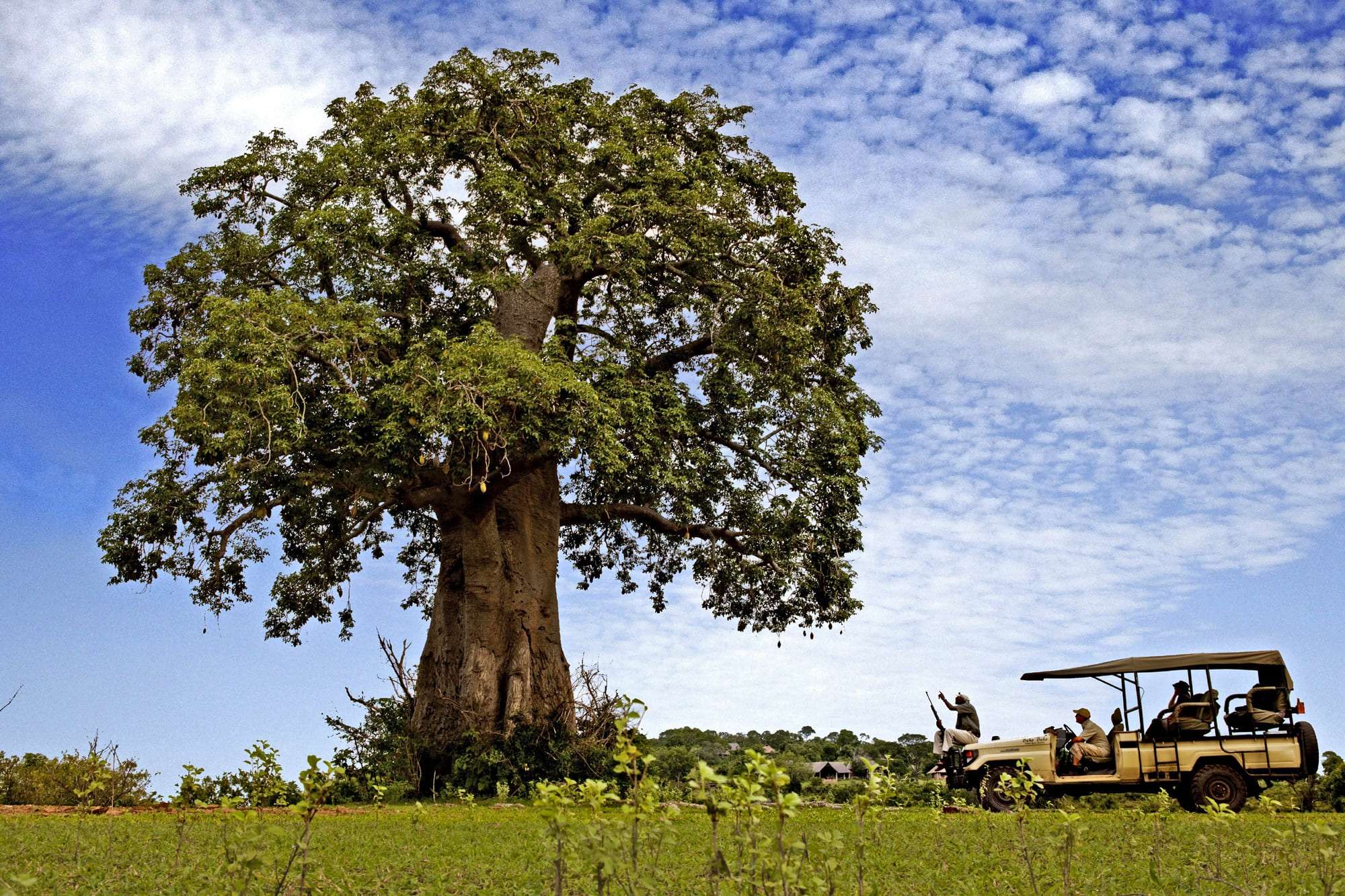 game-drive-bebo-beho-camp