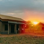 Kontiki Serengeti Camp accommodation photo 1