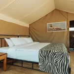Kontiki Serengeti Camp accommodation photo 3