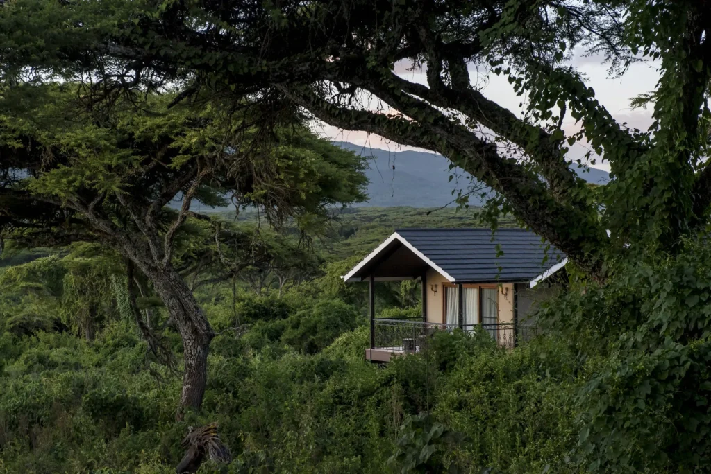 ngorongoro lion’s paw accommodation photo 4