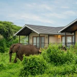 ngorongoro lion’s paw accommodation photo 5