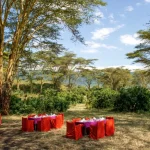 Ngorongoro Serena Safari Lodge accommodation photo 6