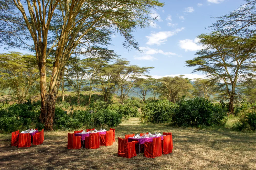 Ngorongoro Serena Safari Lodge accommodation photo 6