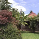 Planet Lodge Arusha accommodation photo 2