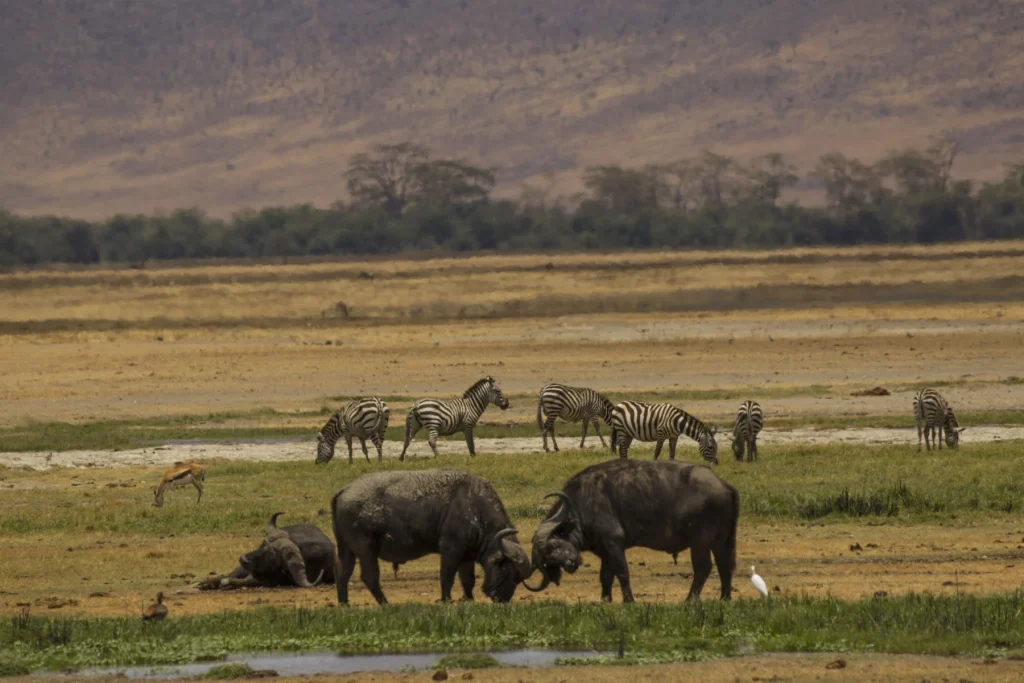 SAF-05 Tanzania adventure view