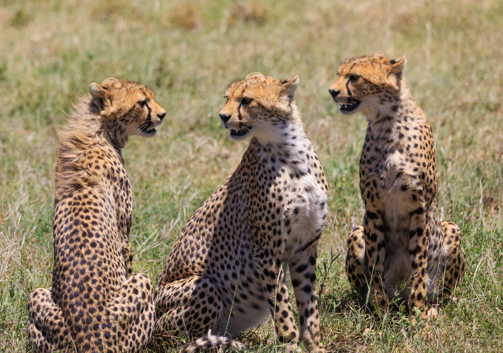 SAF-09 Tanzania adventure view
