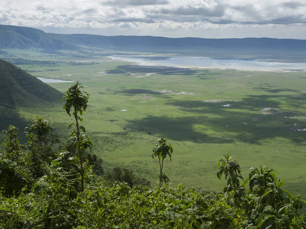 SAF-11 Tanzania adventure view