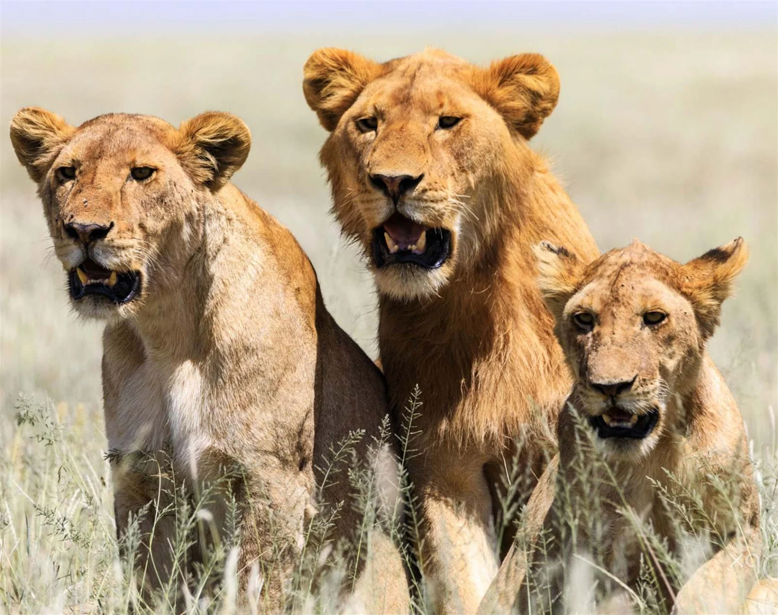 SAF-21 Tanzania adventure view
